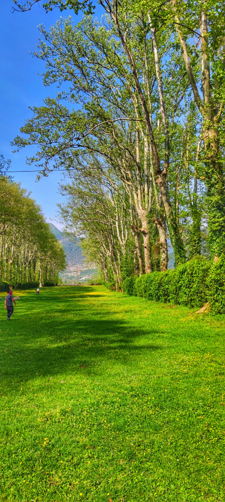 სამეგრელო-იმერეთის განსხვავებული ორდღიანი ტური