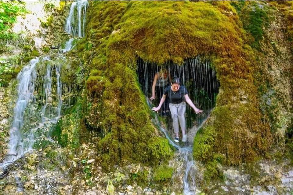 რაჭის დღიანი ტური