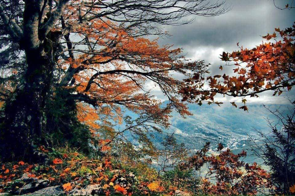 რაჭის დღიანი ტური