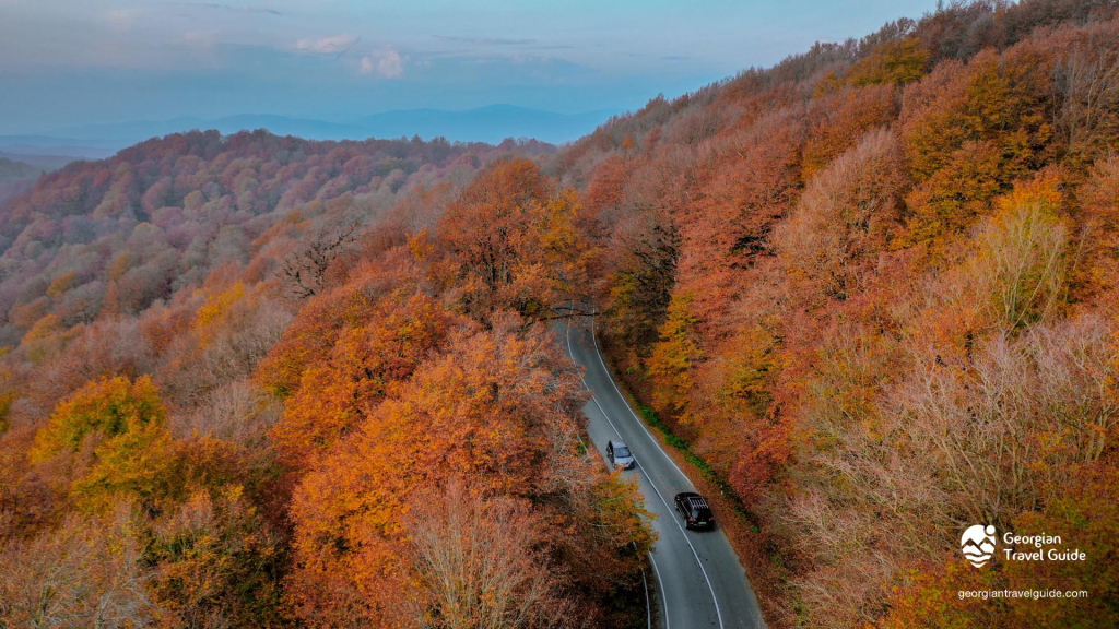საბადურის ტყის დღიანი ტური