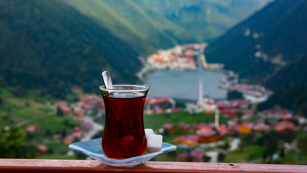 რიზე | ტრაბზონი | უზუნგოლი