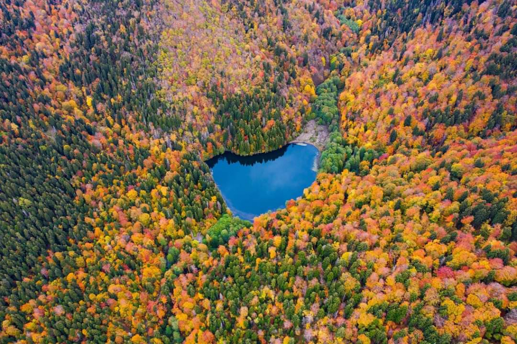 ბატეთის ტბა + ძამას ხეობა