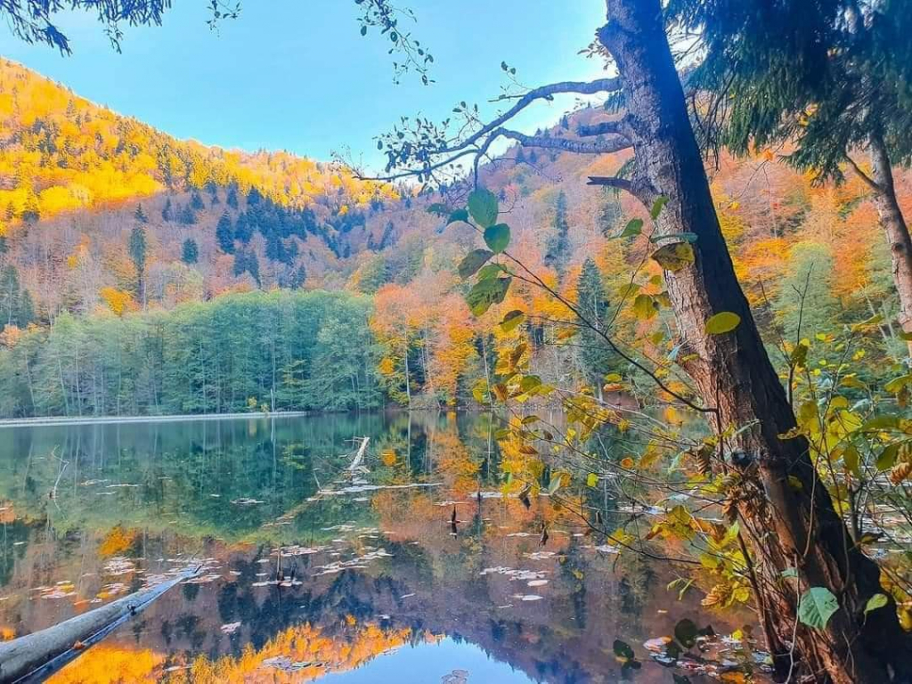 დღიანი ტური ძამას ხეობაში