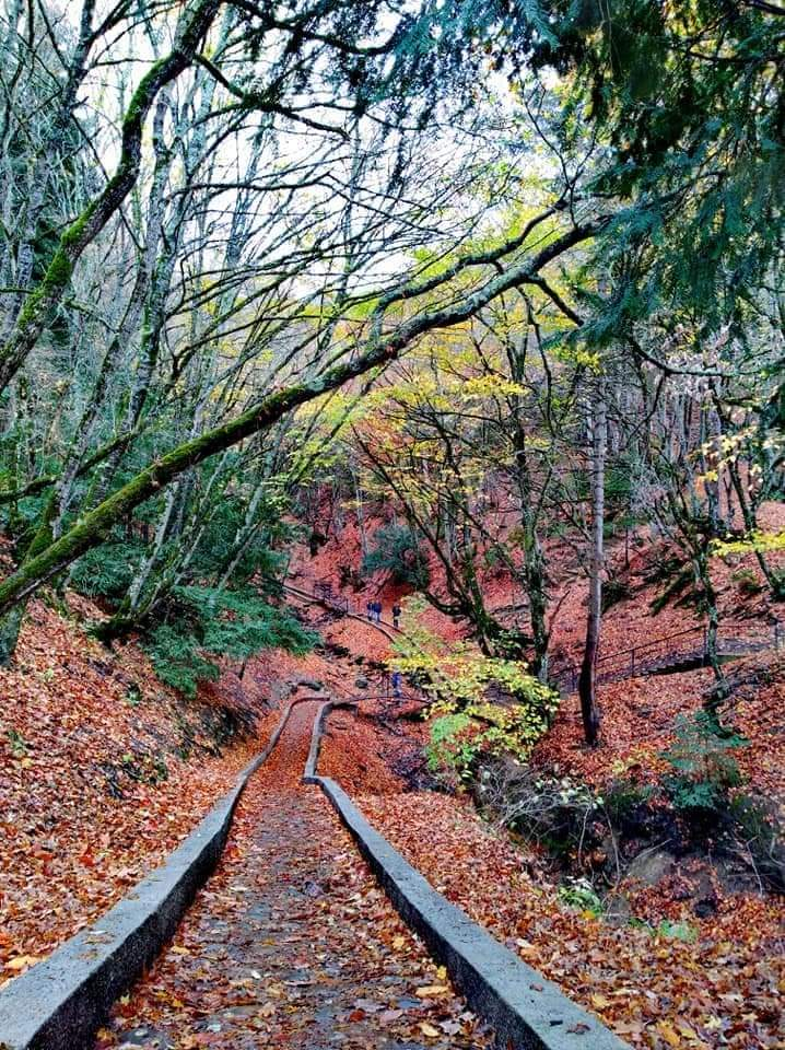 დღიანი ტური ძამას ხეობაში
