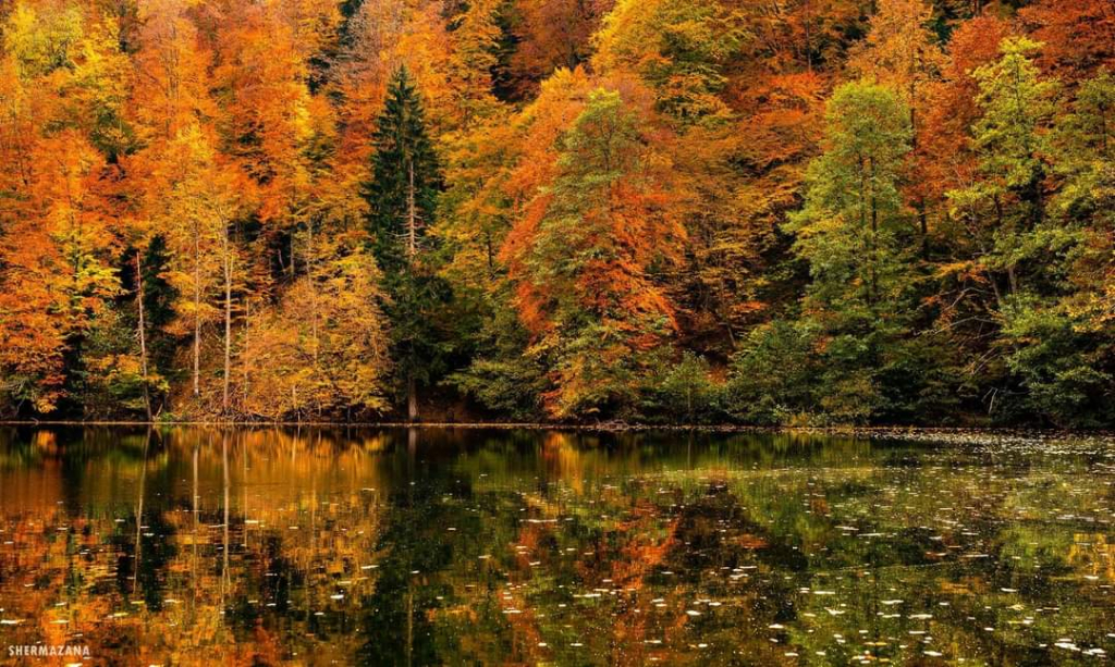 ხვალ ადგილი! ბატეთის ტბა + ძამას ხეობა ( )