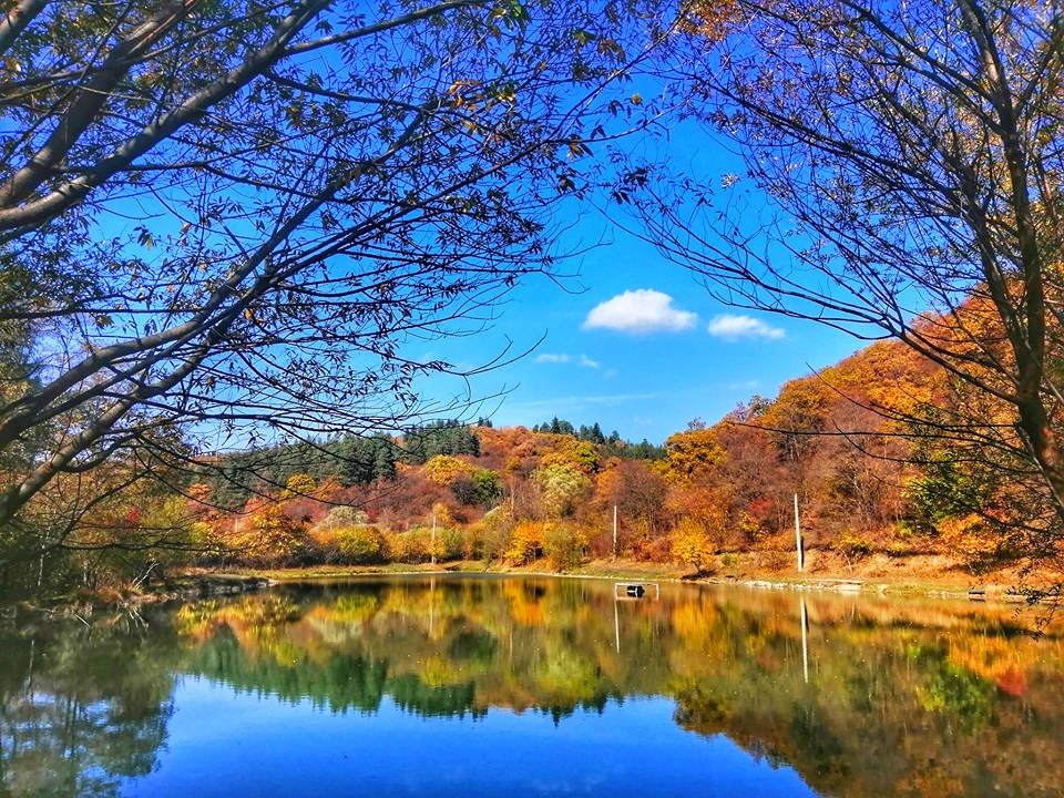 "გიორგობას" წვერის წმ. გიორგი, უძოს მონასტერი ერთდღიანი ტური