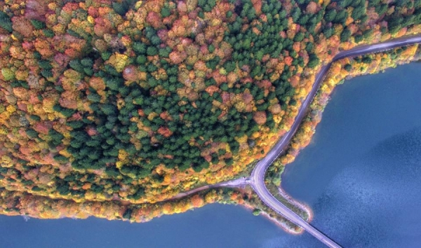 რაჭის დღიანი ტური