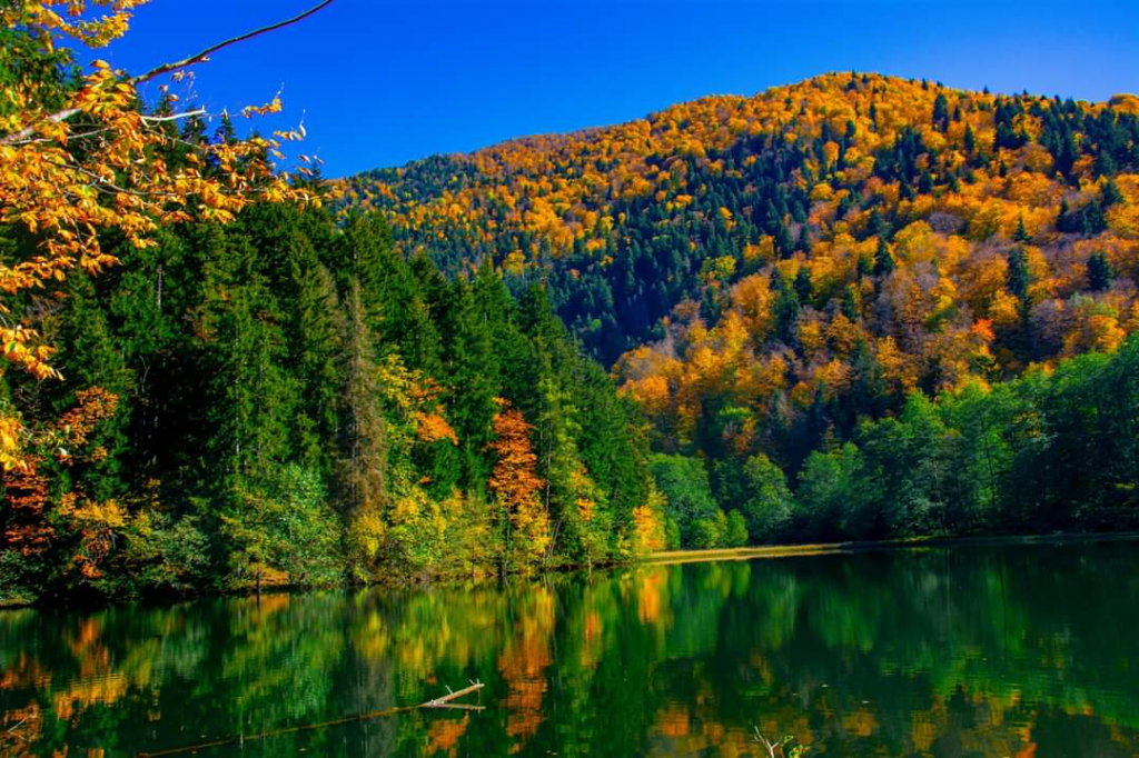 წლის ბოლო შანსი! ბატეთის ტბა + ძამას ხეობა ( ნოემბერი, კვირა)