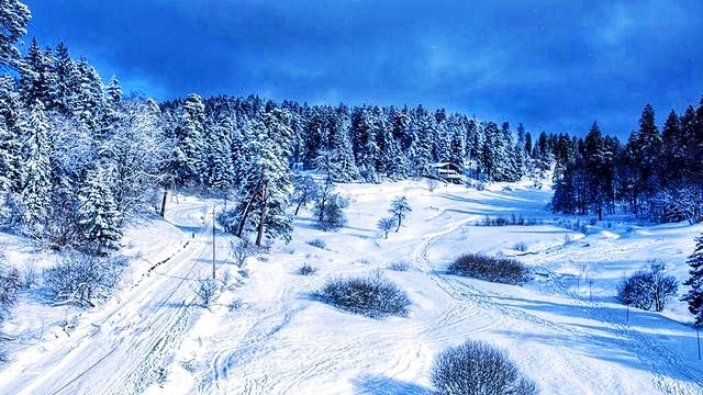 ბაკურიანის სამდღიანი ტური