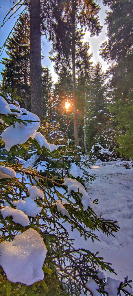 ბაკურიანის სამდღიანი ტური