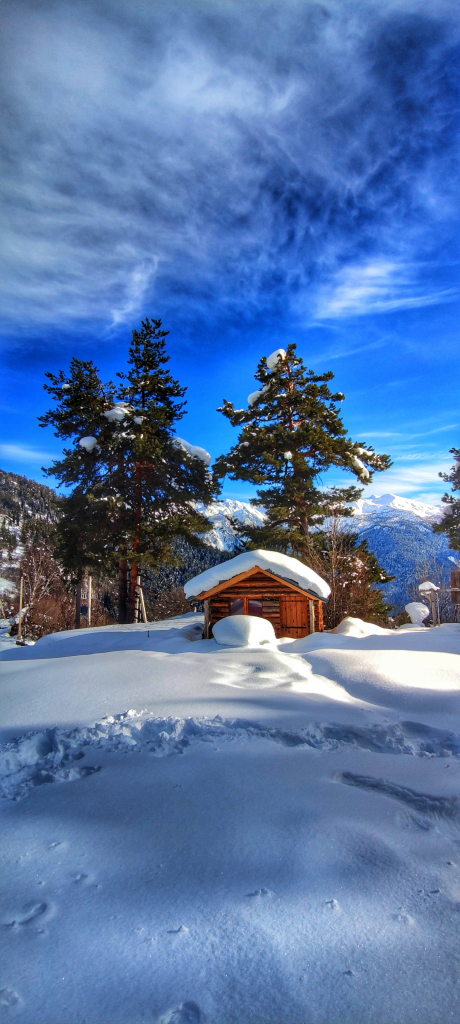 სვანეთში ძველით ახალი წელი და "გემოფესტი" , ფასდაკლებით!