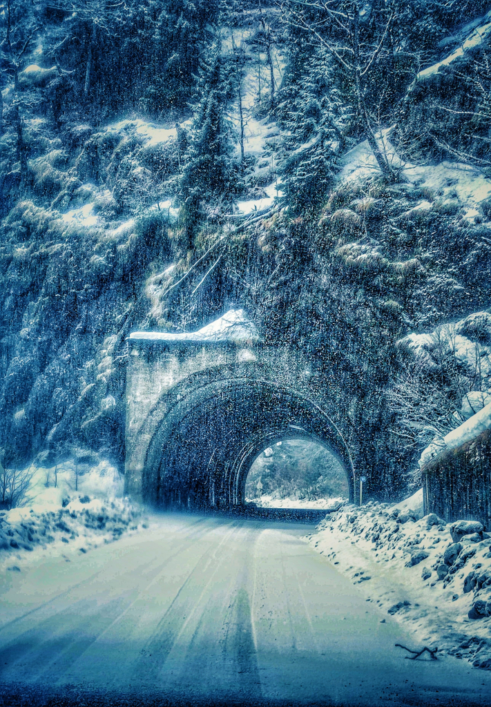 სვანეთში ძველით ახალი წელი და "გემოფესტი" , ფასდაკლებით!
