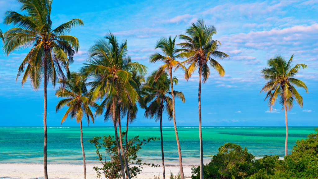 ზანზიბარი