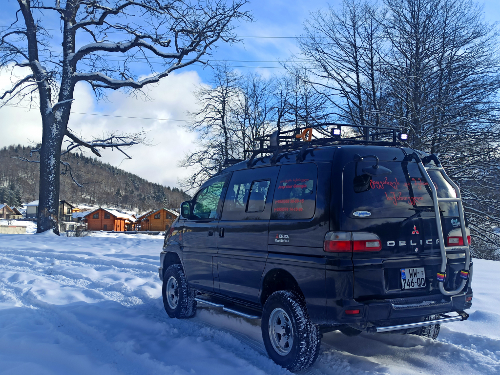 ტურები და ტრანსფერები სამთო კურორტებზე ❄️❄️❄️❄️❄️