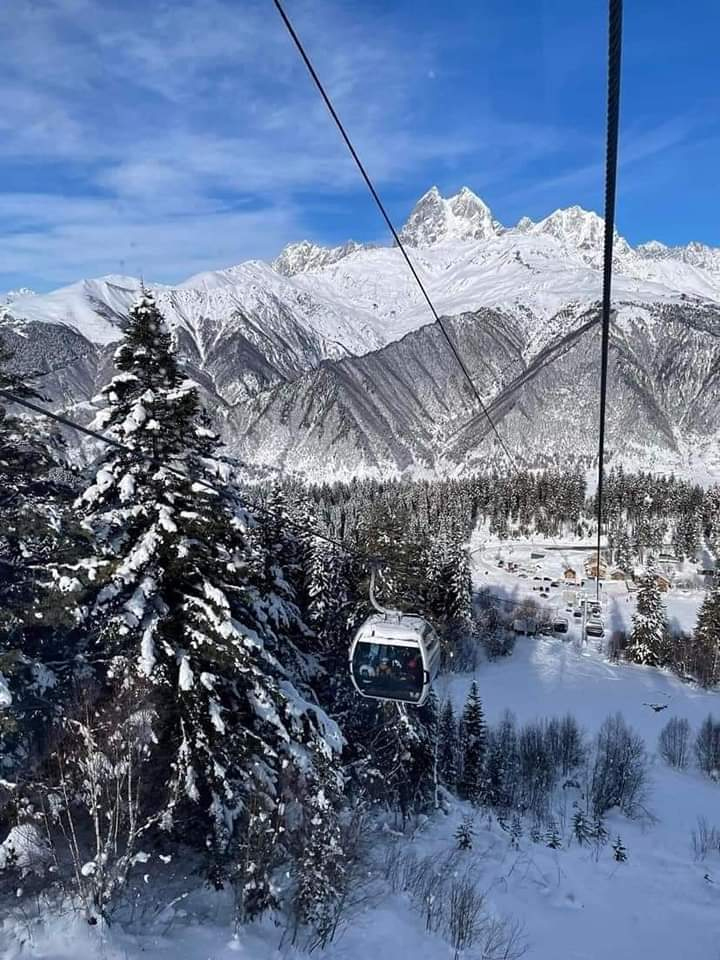 ტურები და ტრანსფერები სამთო კურორტებზე ❄️❄️❄️