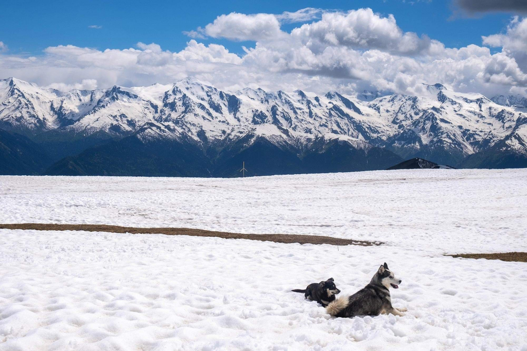 დღიანი ტური ახალ წელს ულამაზეს სვანეთში