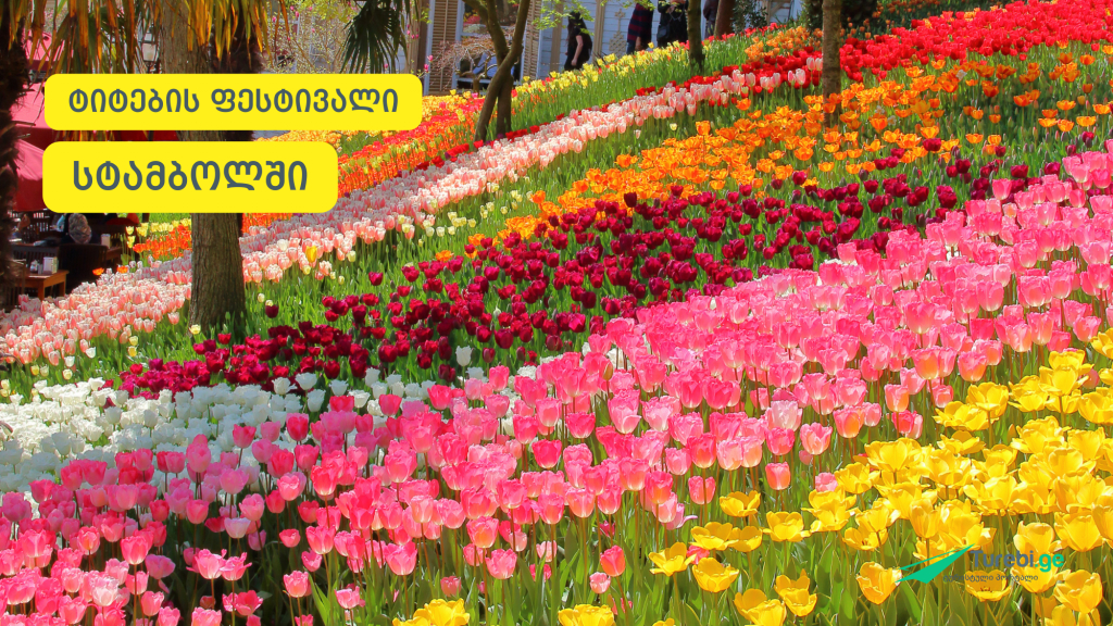 სტამბული ტიტების ფესტივალი ( დღიანი ტური)