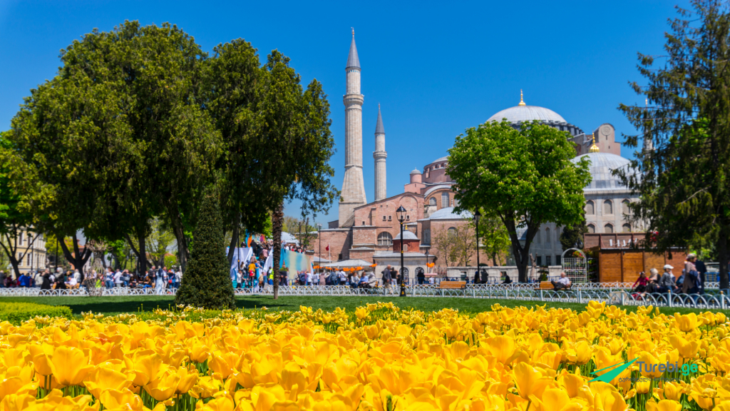 სტამბული ტიტების ფესტივალი ( დღიანი ტური)