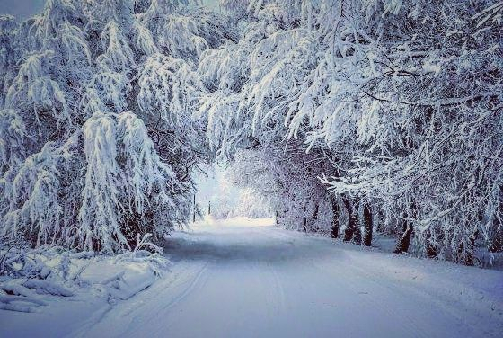 თოვლიანი საბადურის ერთდღიანი ტური