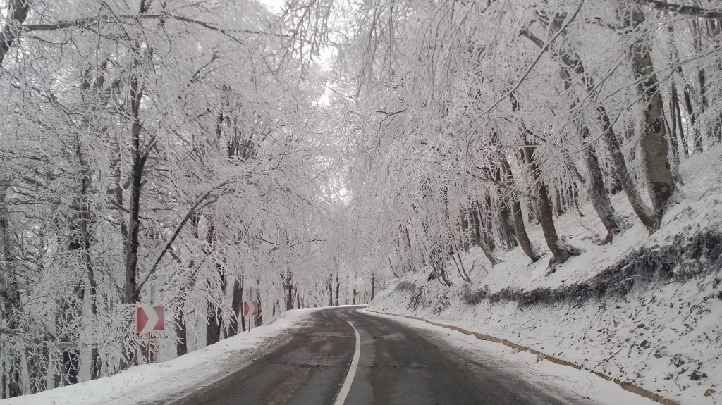 საბადურის ტური