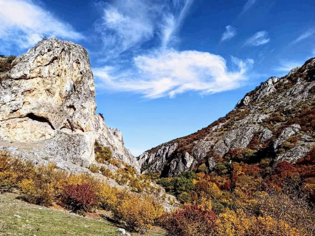 არწივის. ხეობა, ხორნაბუჯის ციხე ერთდღიანი ტური