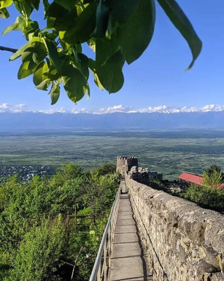 სიღნაღი