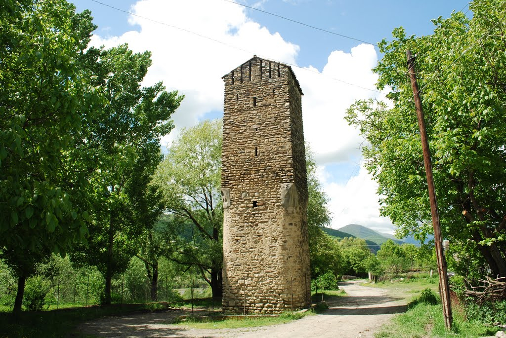 ფშავის ტური : დღიანი გასვლა