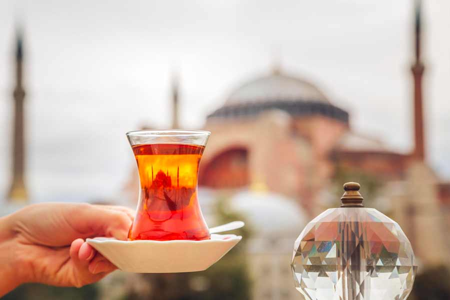 სტამბულის დღიანი ტური ფრენით ( ჯგუფური ტური )