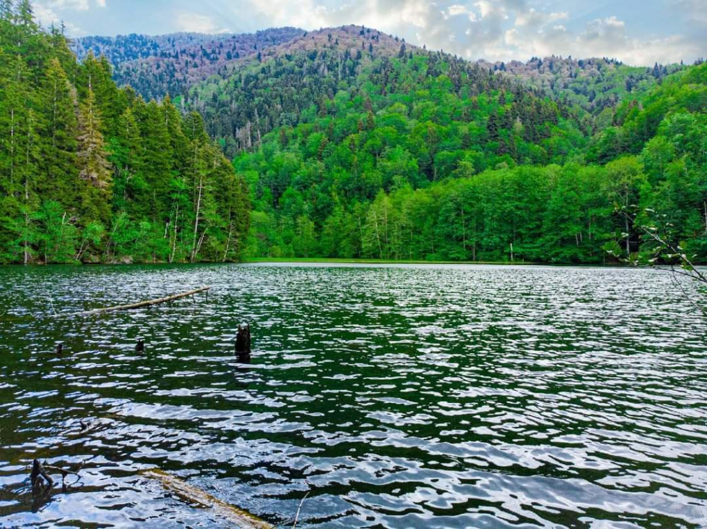 ძამას ხეობა + ბატეთის ტბა + ქოზიფა ( ივნისი, კვირა)