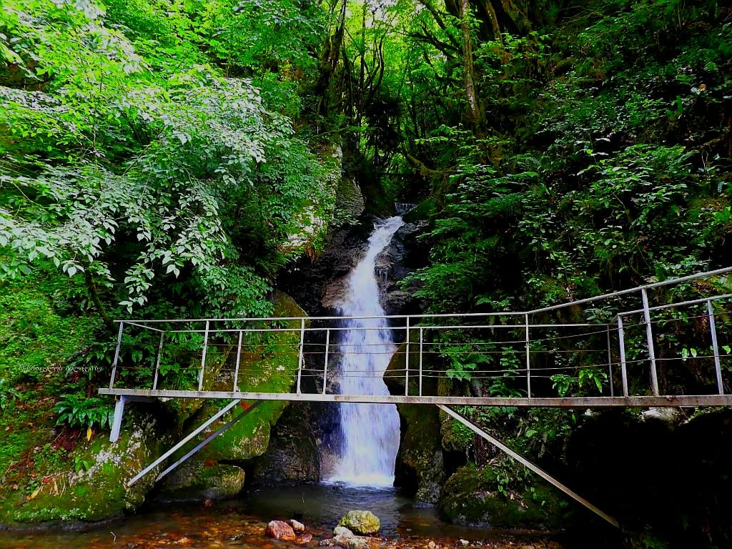 ლეჩხუმი: ცაგერი, ქულბაქი, ოტიფარა, რაჩხა, ჩქუმი და ა.შ.