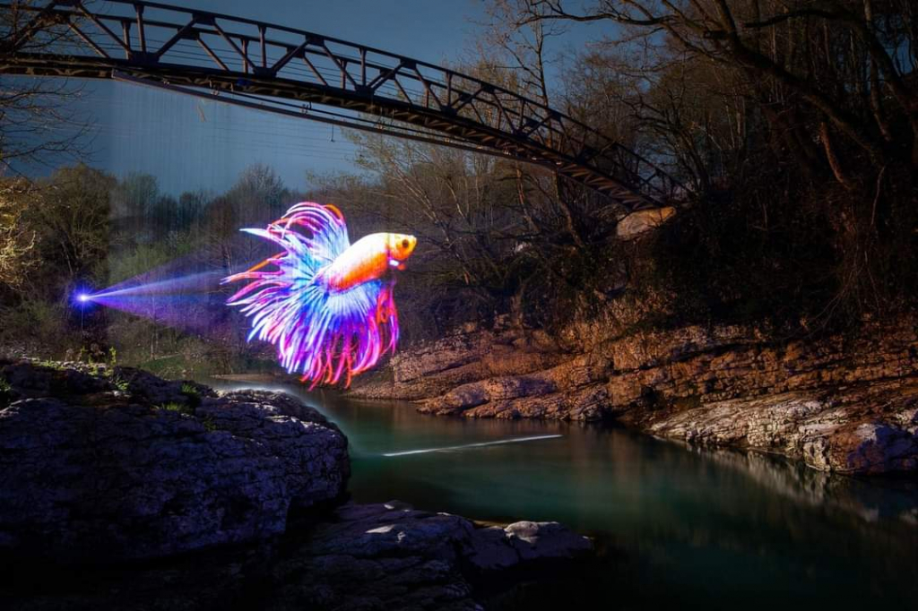 იმერეთის და სამეგრელოს დღიანი ტური