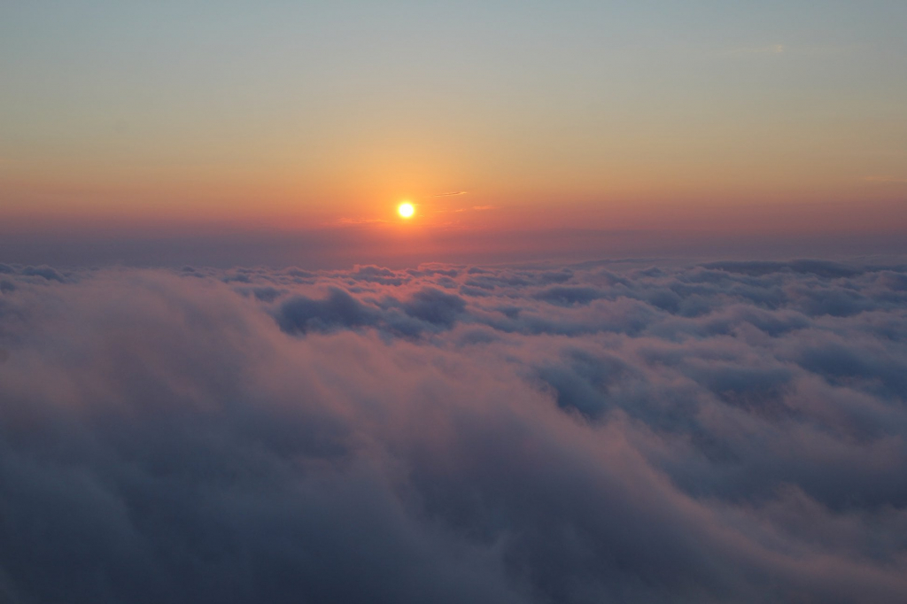 გომისმთა - ზღაპარი ღრუბლებს ზემოთ - კოტეჯებში განთავსება (ერთ ერთი მოწინავე კომპანია)