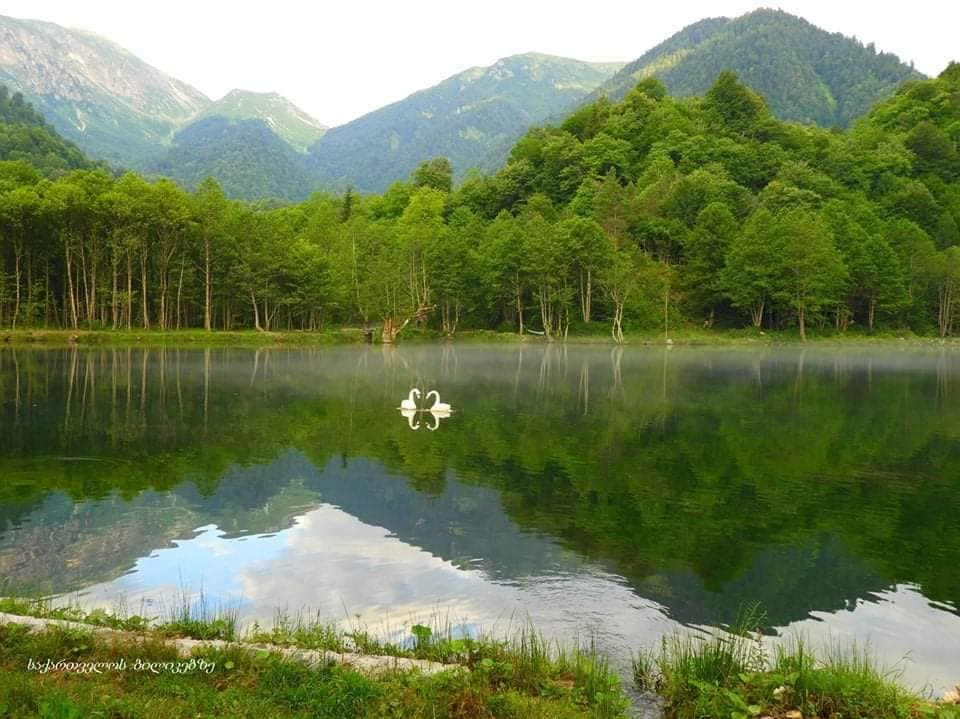 ლაილაში, ქულბაქი, ცხრაჯვარი, რაჩხა, ჩქუმი და ა.შ.