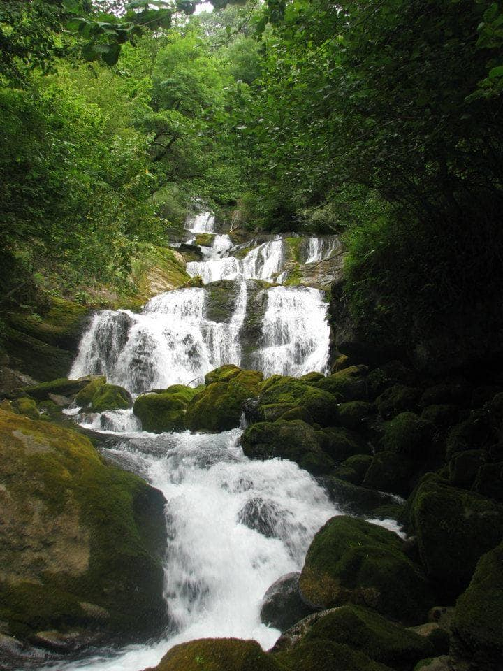 ლაილაში, ქულბაქი, ცხრაჯვარი, რაჩხა, ჩქუმი და ა.შ.
