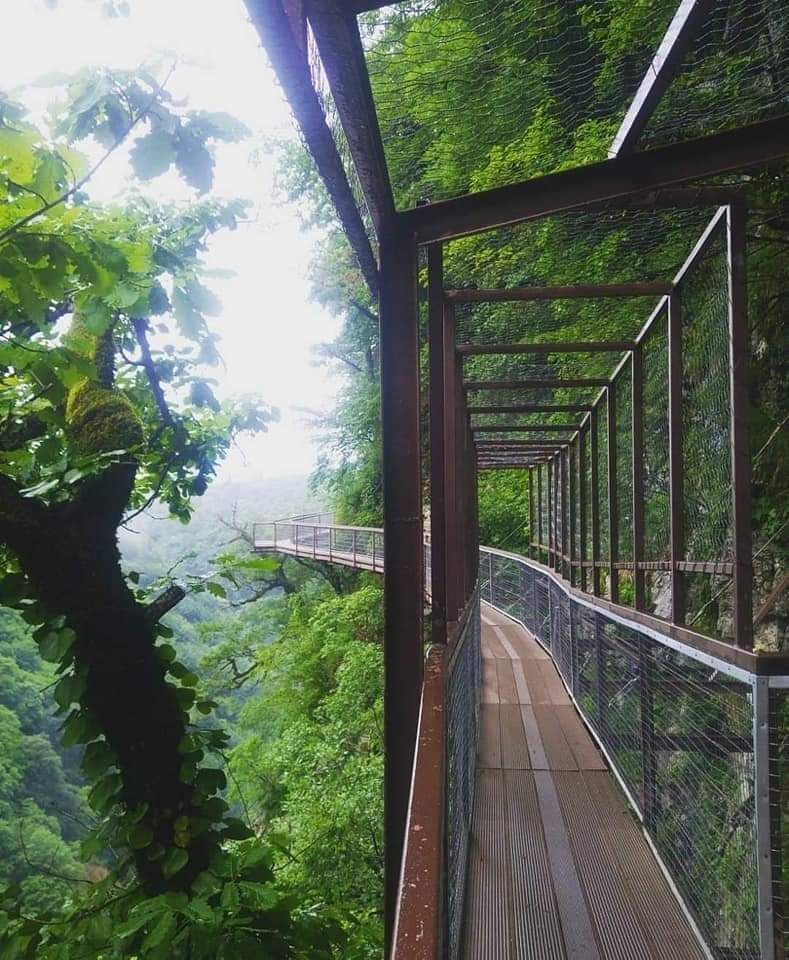 დღიანი ტური სამეგრელოში