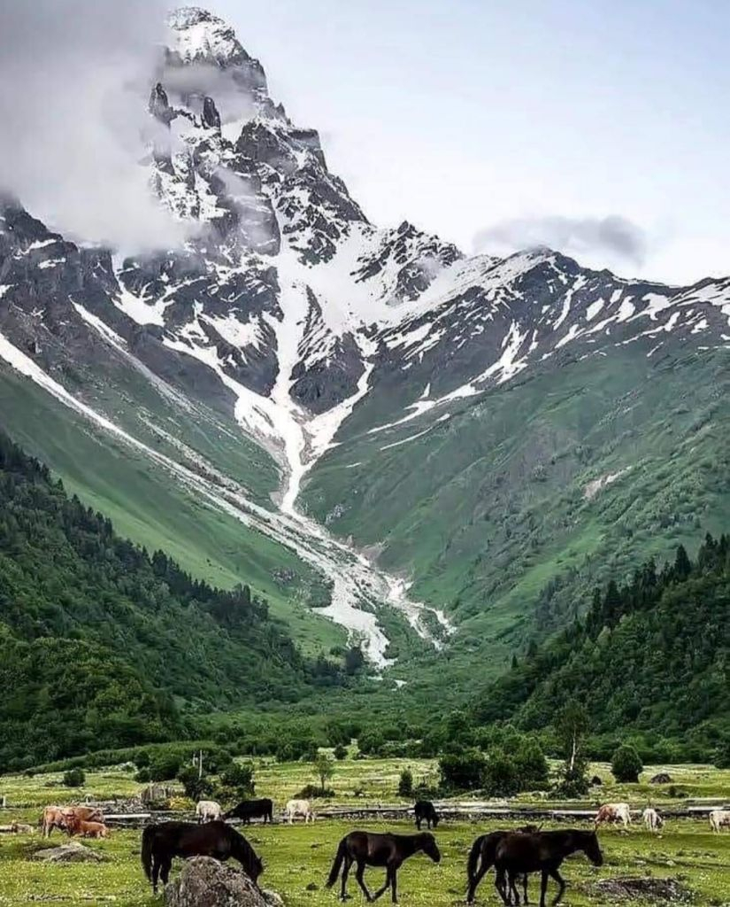 დღიანი ტური სვანეთში