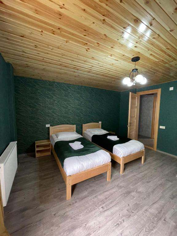 სვანეთის დღიანი ტური - სრული პაკეტი ( სასტუმრო, კვება, შიდა გადაადგილებები )