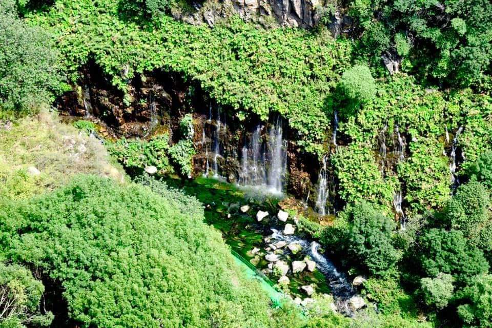 დაშბაშის კანიონის  დღიანი ტური