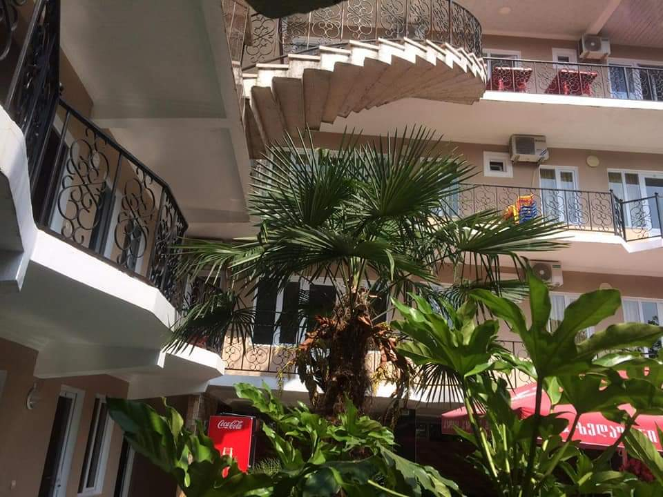 ქობულეთის დღიანი საგზური