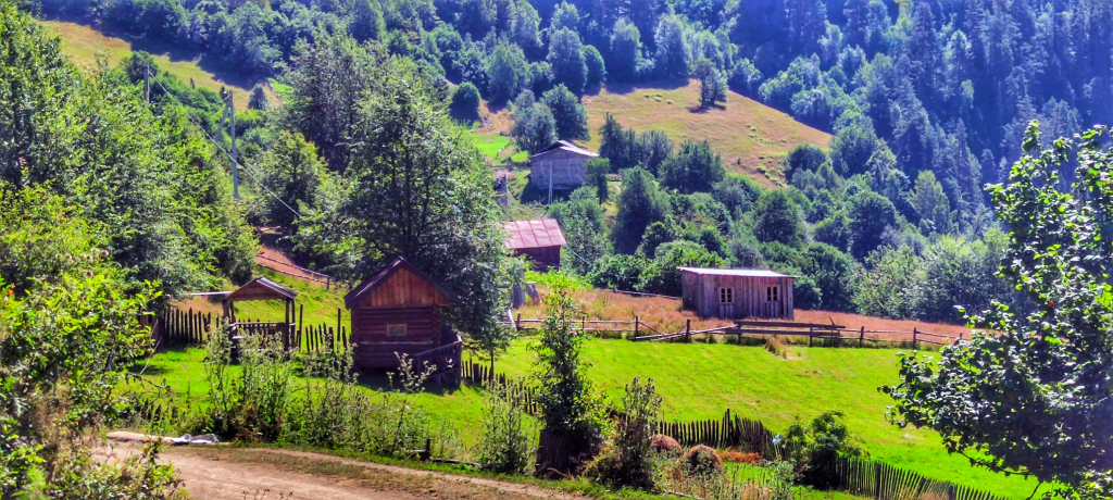 სვანეთის ხუთდღიანი ტური