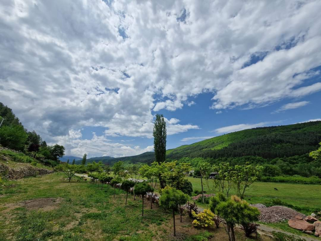 ძამას ხეობის დღიანი ტური