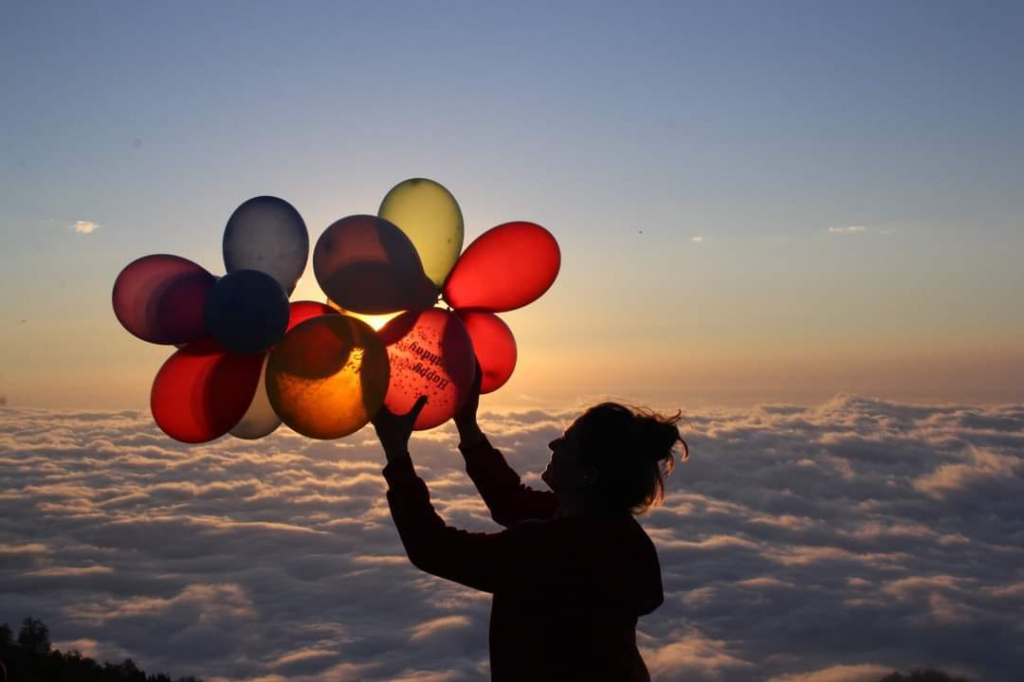 გომისმთა - ზღაპარი ღრუბლებს ზემოთ - კოტეჯებში განთავსება