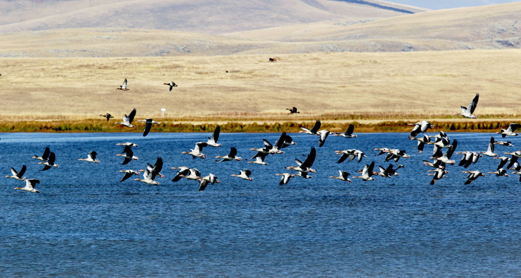 ჯავახეთის ტბები : ფარავანი, საღამო, მადათაფა