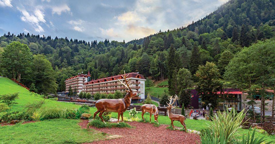 დიხაშხო (ვანის წხელი წყლის გოგირდოვანი აუზები), საირმე, ვანის მუზეუმი