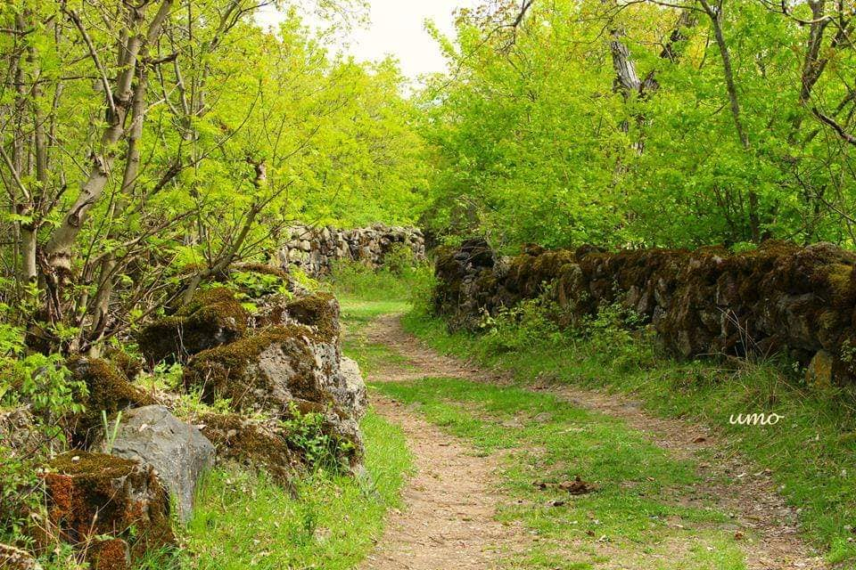 აქცია ტური; სამშვილდე, პირღებული, ასურეთი, ფარცხისი