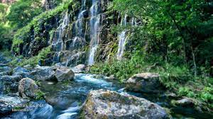 დაგეგმე სასკოლო და კორპორატიული ტურები ჩვენს გამოცდილ გუნდთან ერთად