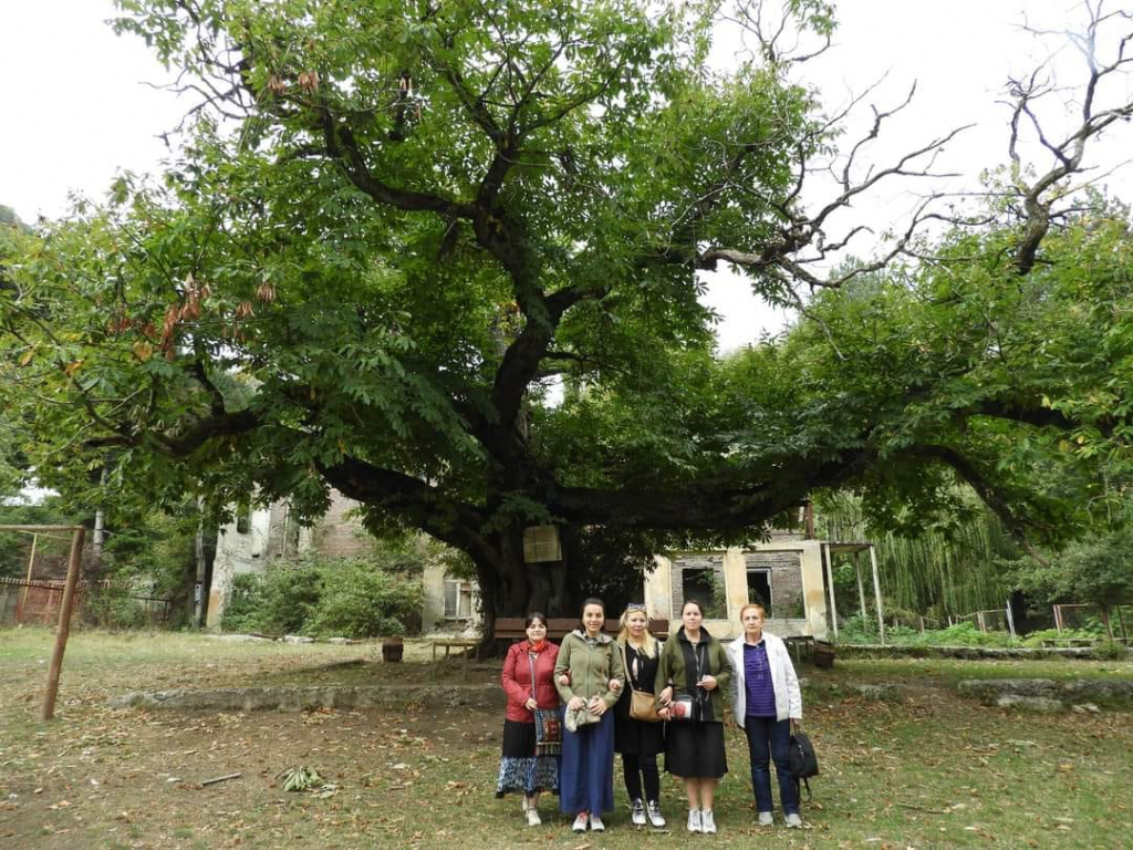 ტაშისკარი, ქვიშხეთის მთაწმინდა, ხცისი, წრომი,