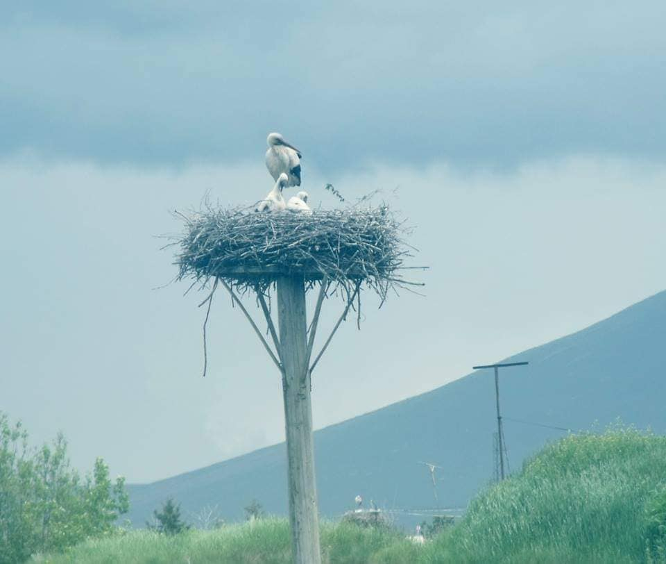 ჯავახეთი: გორელოვკა- დუხაბორები, ტურინის სუდარის ასლი, ფარავნის, საღამოს და მადათაფის ტბები, ფოკა, წალკა და ა.შ.