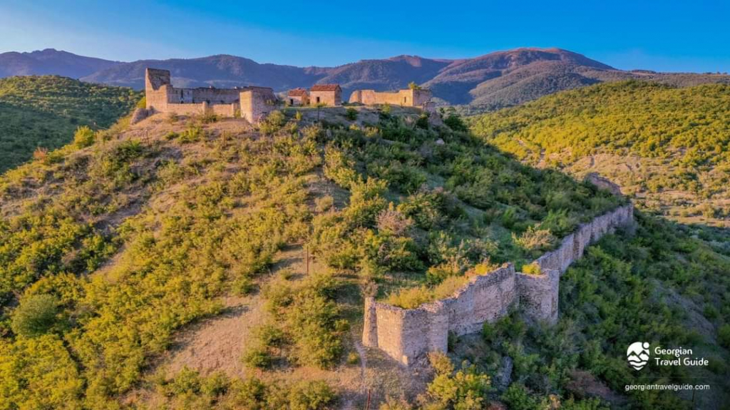 კახეთის ერთ დღიანი ტური