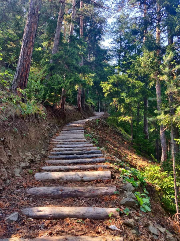 საფარა,ზარზმა,ჭულე, აბასთუმანი